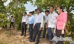 Kiểm tra công tác phòng, chống hạn, mặn tại huyện Cai Lậy