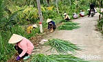 Xã Tân Thạnh: Khơi dậy sức dân trong xây dựng nông thôn mới