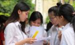 Sức hút và áp lực