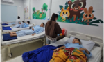 Khánh Hòa: Phát hiện khuẩn Salmonella trong vụ nghi ngộ độc do ăn cơm gà