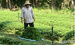 Hội Cựu chiến binh xã Thạnh Phú: Xây dựng hội vững mạnh, nâng cao  đời sống hội viên
