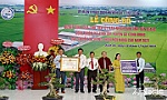 Huyện Gò Công Đông: Phấn đấu đạt chuẩn huyện nông thôn mới nâng cao vào cuối năm 2024