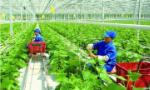 Thể chế hóa chủ trương của Đảng về nông nghiệp, nông dân, nông thôn trong Luật Đất đai 2024