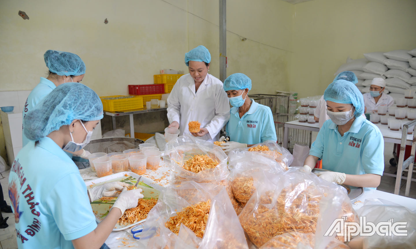 Các sản phẩm đông trùng hạ thảo của Công ty TNHH Đông trùng hạ thảo Thiên Ân của chị Trần Thị Luôn đạt chứng nhận OCOP 4 sao.