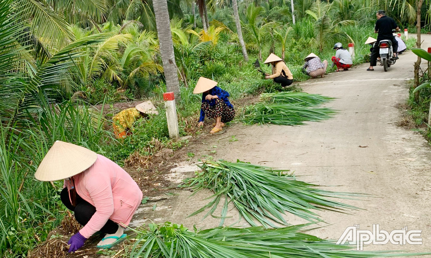 Người dân chung tay dọn dẹp đường ngõ ấp, trồng hoa trên các tuyến đường góp phần xây dựng NTM.
