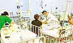 Gia tăng nhiều dịch bệnh
