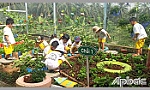 Trường Mầm non Hòa Định: Hiệu quả từ chuyên đề lấy trẻ làm trung tâm