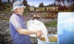 Đi qua vùng hạn, mặn
