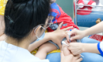 Năm nay, sẽ liên tục cung ứng vaccine 5 trong 1