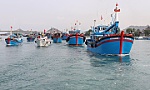 Gỡ 'thẻ vàng' IUU: Đồng lòng hành động vì hình ảnh quốc gia