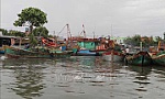 Chương trình hành động của Chính phủ chống khai thác thủy sản bất hợp pháp