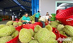 Huyện Cai Lậy: Dồn lực thúc đẩy tăng trưởng kinh tế