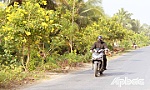 Dịp nghỉ lễ, nắng nóng tiếp tục xảy ra với nhiệt độ cao nhất ngày từ 35,5 - 37 độ C