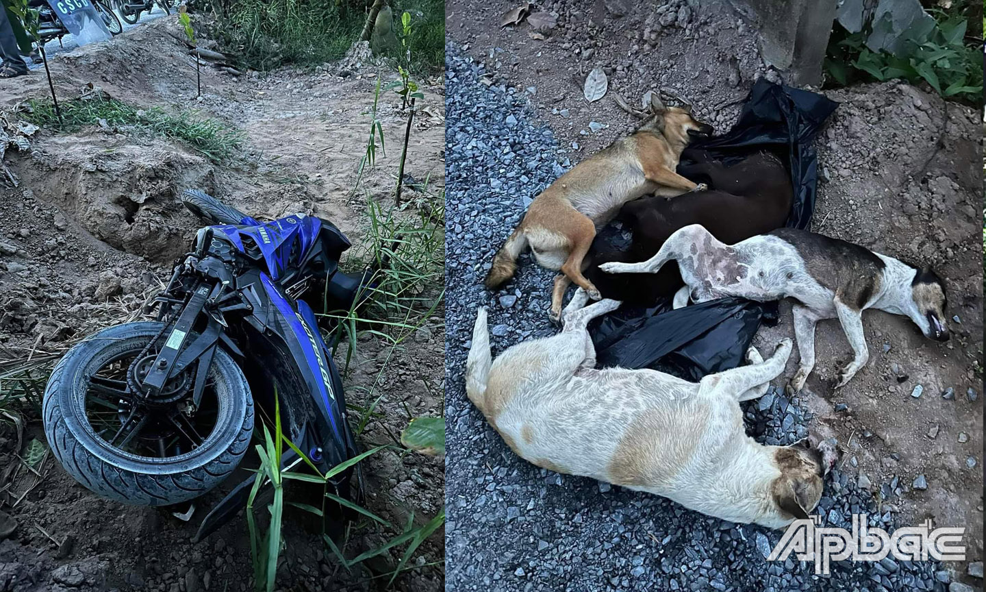 Phương tiện và tang vật bỏ lại hiện trường.