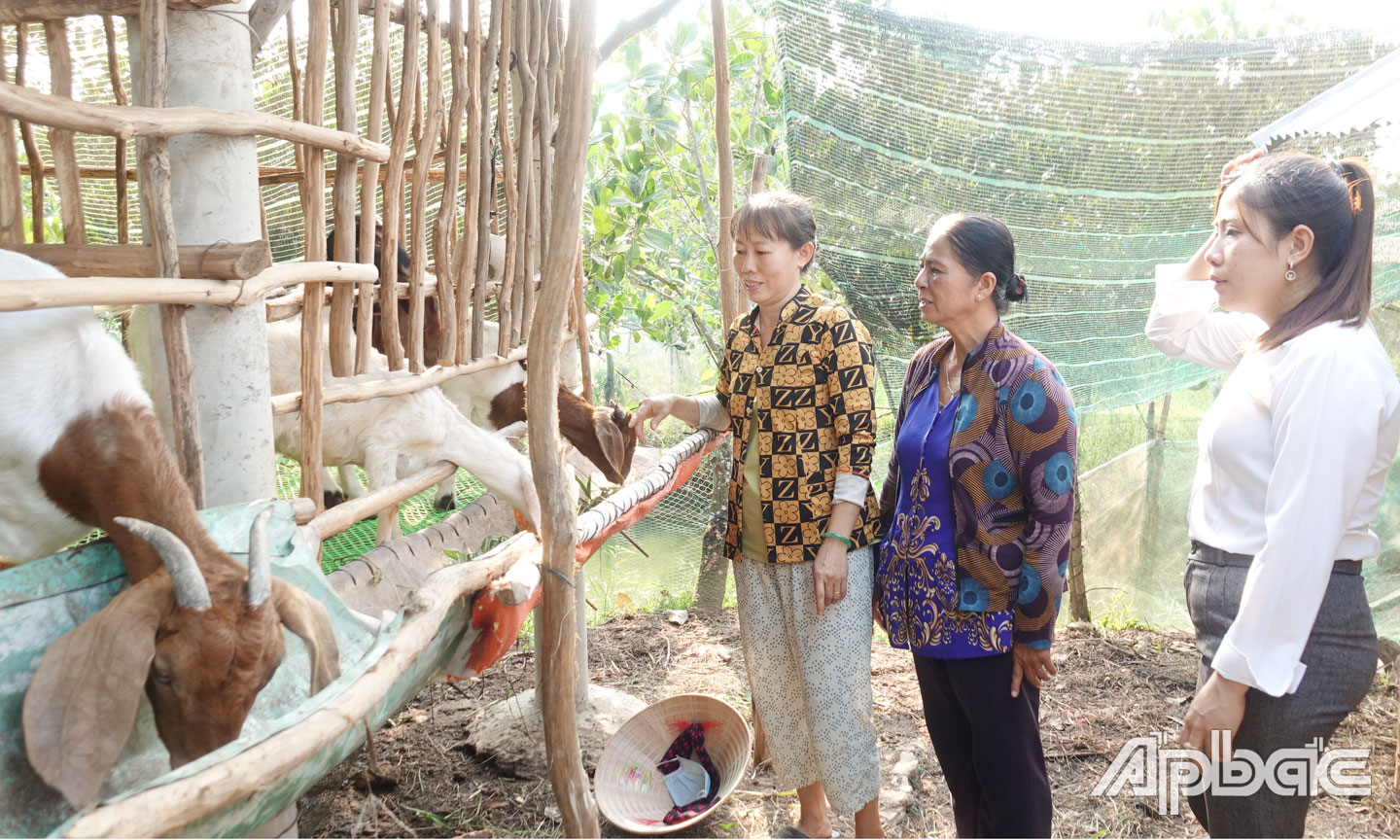 Thăm hỏi mô hình sản xuất của hội viên.
