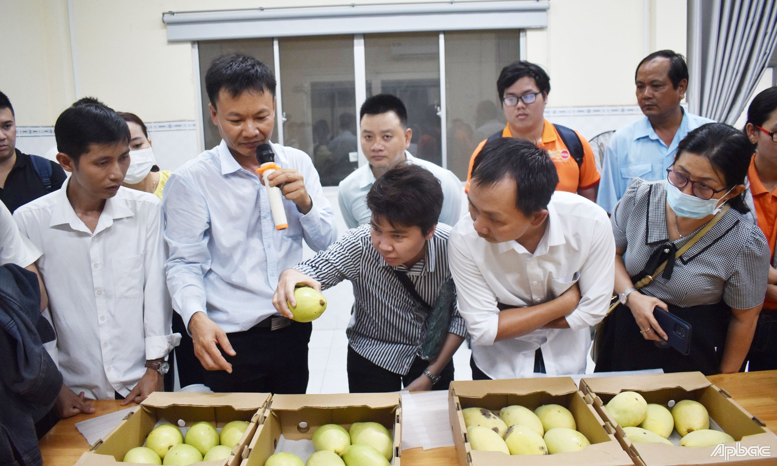 Tiến sĩ Nguyễn Văn Phong giới thiệu quả xoài sau 3 tuần bảo quản với quy trình vận hành chuẩn.