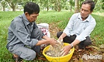 Thạc sĩ Nguyễn Ngọc Thành: Thành công với chế phẩm vi sinh 
