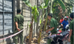 Vụ nổ nồi hơi khiến 6 người tử vong: Khởi tố, bắt tạm giam Giám đốc Công ty gỗ Bình Minh