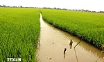 Đồng bằng sông Cửu Long thích nghi có kiểm soát để bảo đảm an ninh nguồn nước
