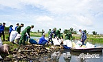 Tuổi trẻ Bộ đội Biên phòng tỉnh Tiền Giang hưởng ứng Ngày Chủ nhật xanh