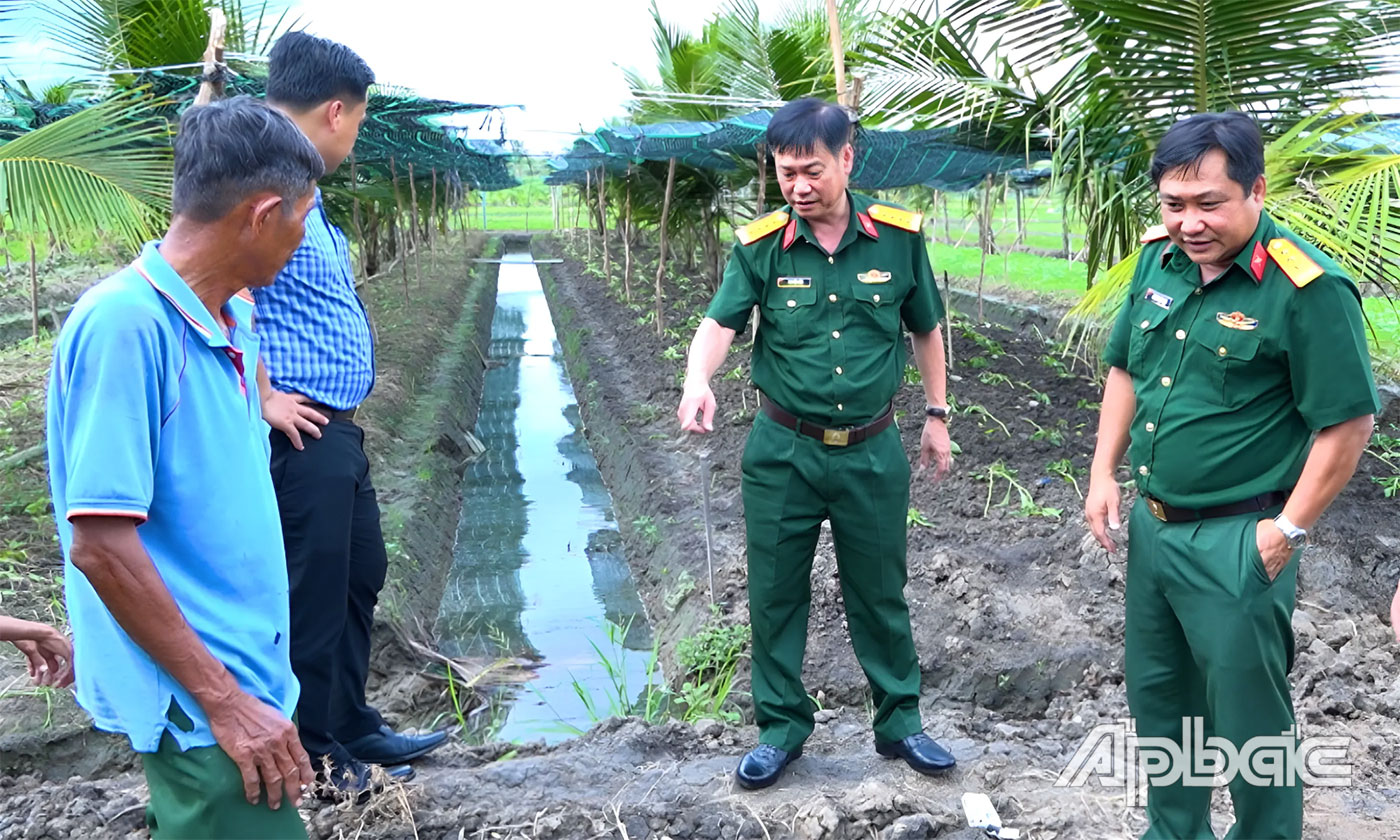 Đoàn khảo sát vị trí thông tin mộ tập thể ngoài thực địa.