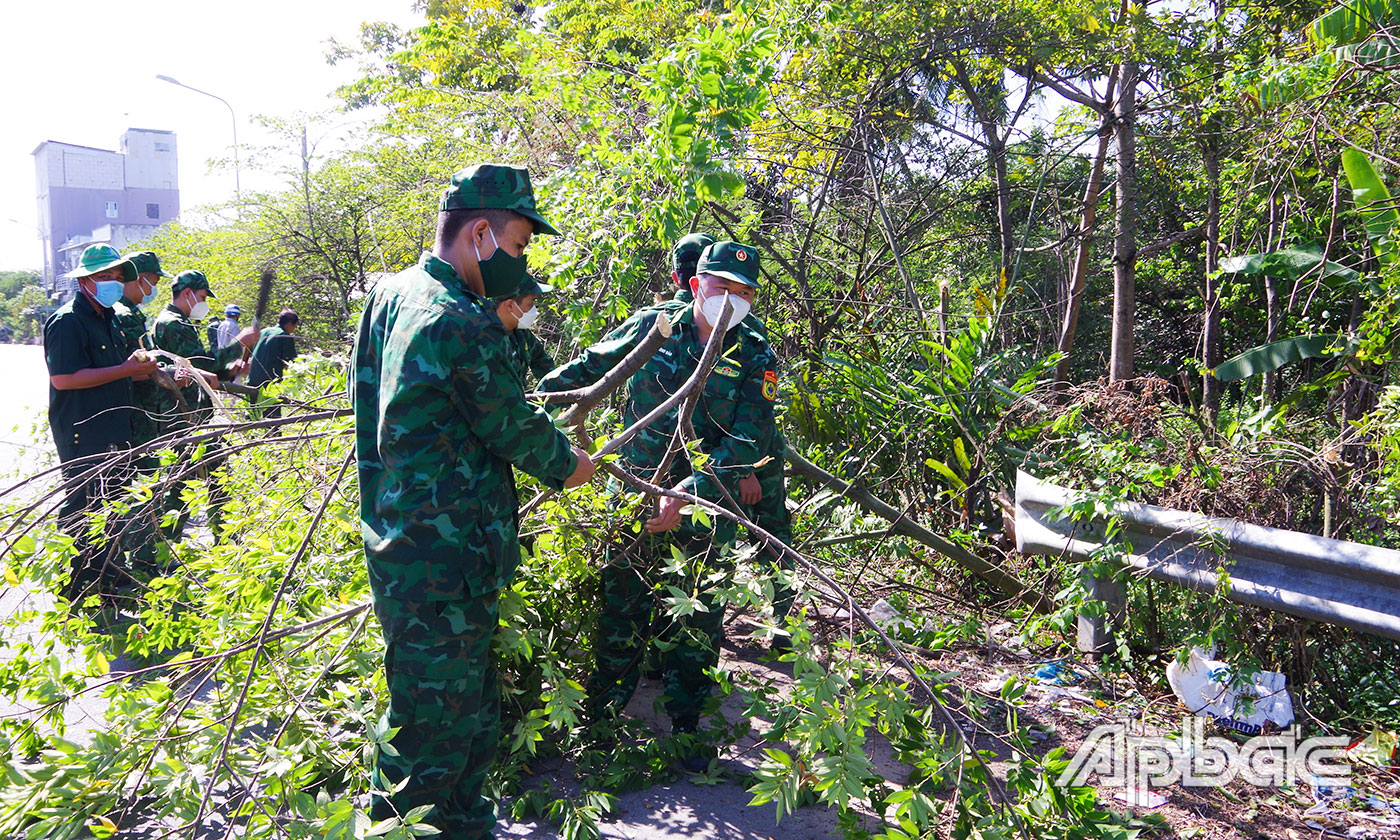 Chi đoàn Phòng Tham mưu cắt tỉa cây xanh che khuất tầm nhìn; xây dựng các tuyến đường “Thanh niên tự quản”.