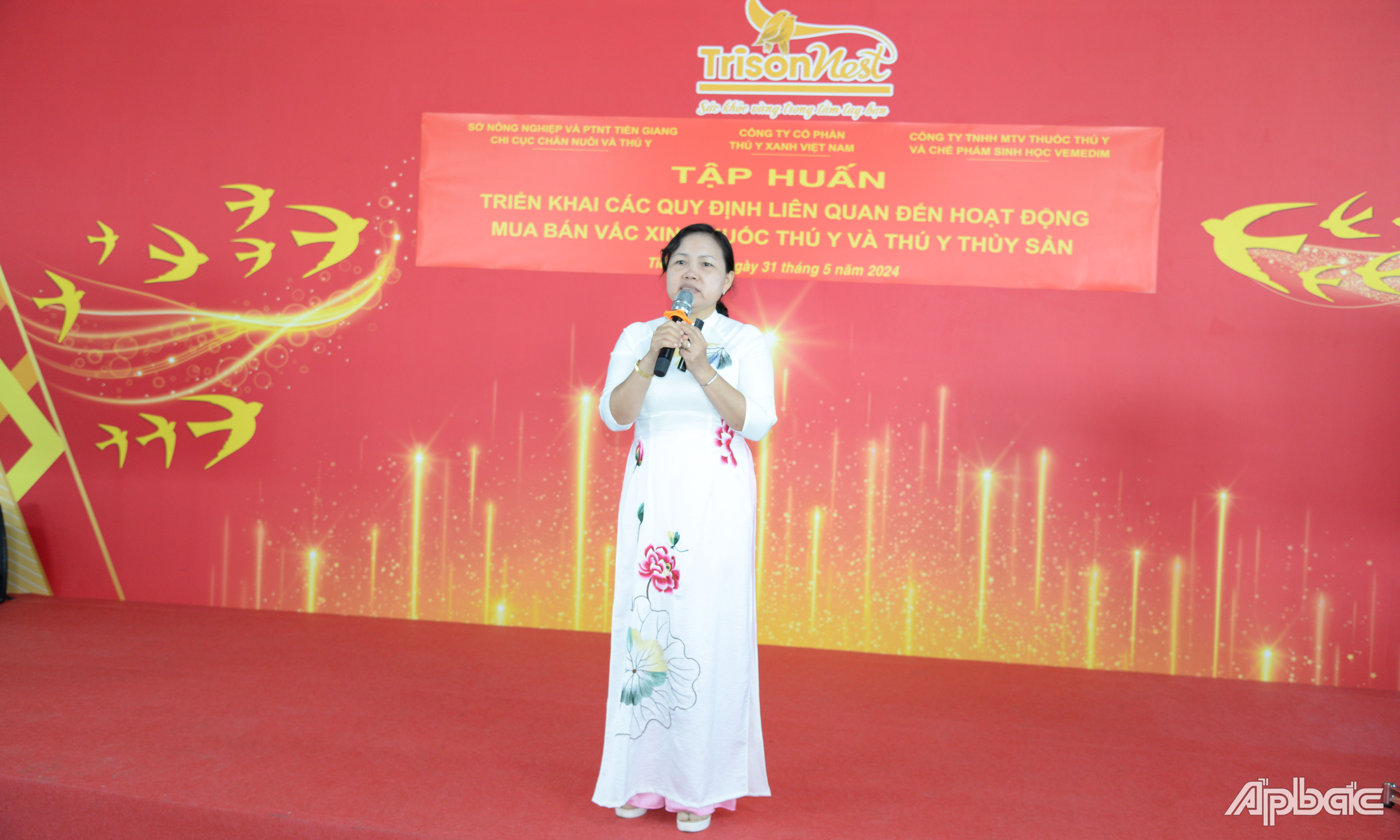 Trình bày báo cáo về định hướng chiến lược sử dụng kháng sinh an toàn.