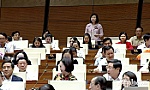 Đại biểu Quốc hội tỉnh Tiền Giang chất vấn Bộ trưởng Bộ Văn hóa, Thể thao và Du lịch