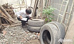 Tiền Giang: Chủ động phòng bệnh sốt xuất huyết