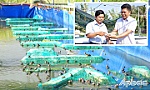 Nâng cao giá trị thương phẩm cho ếch Thái Lan