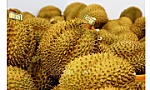 Quản lý hiệu quả chất lượng, nâng cao giá trị sầu riêng xuất khẩu