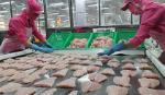 Sản phẩm thủy sản chế biến sâu của Việt Nam được ưa chuộng