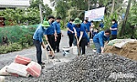 Sửa chữa, nâng cấp cầu giao thông nông thôn
