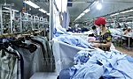 Tổng cục trưởng Nguyễn Thị Hương: Năm 2024, tăng trưởng kinh tế có khả năng đạt 6-6,5%