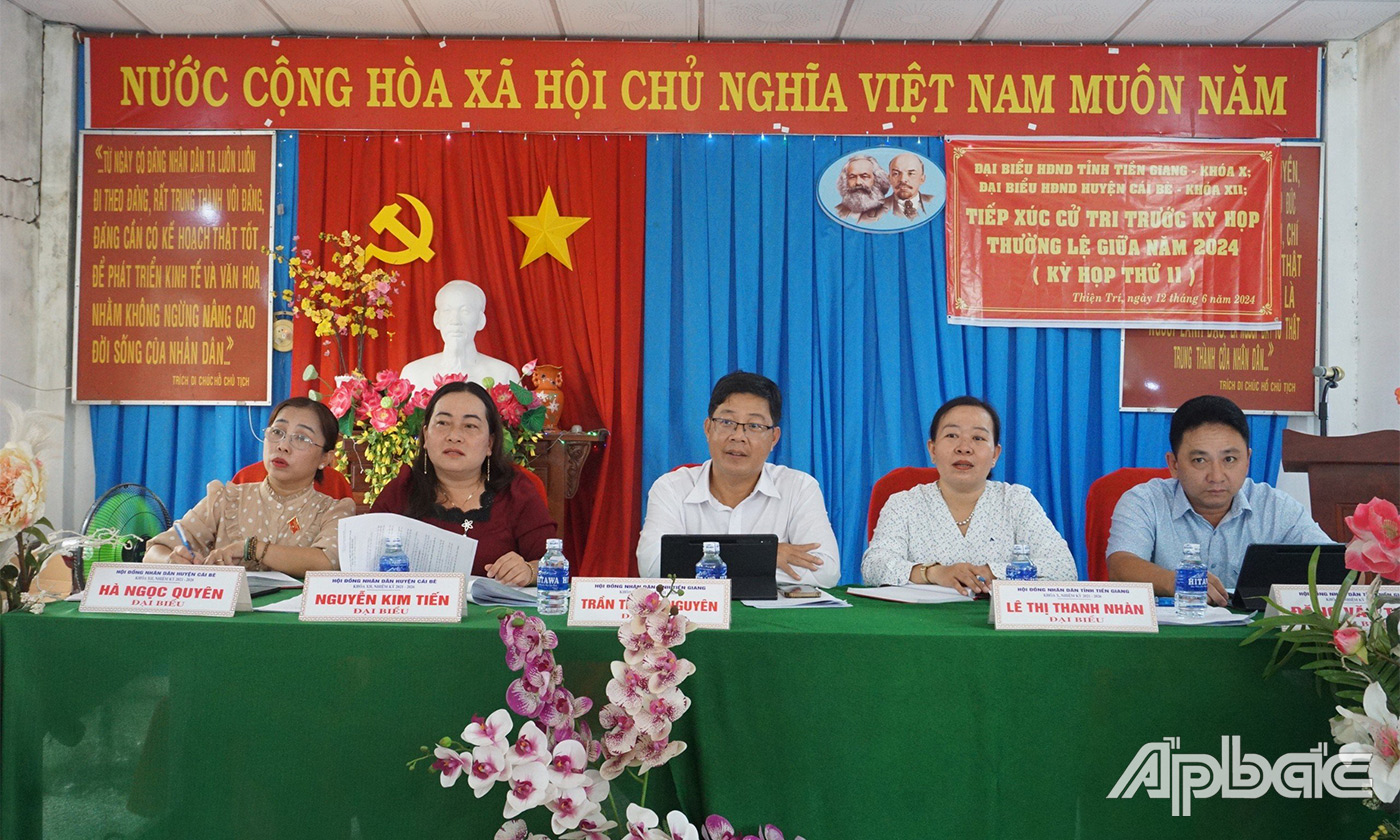 Đại biểu HĐND tỉnh, huyện nghe ý kiến cử tri phát biểu