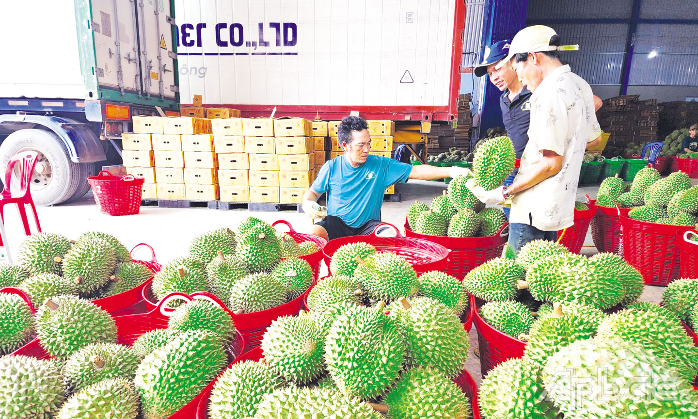 Sầu riêng là loại trái cây có nhu cầu nhập khẩu lớn của Trung Quốc.