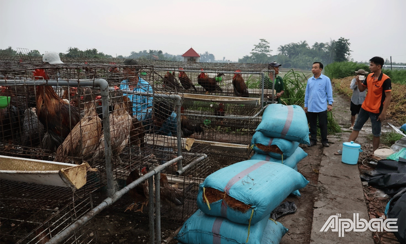 Chủ tịch UBND huyện Phạm Hùng Vinh thăm hỏi các hộ bị thiệt hại và trực tiếp chỉ đạo các lực lượng khẩn trương khắc phục.