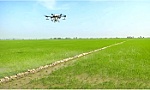 Gieo thay đổi, gặt giá trị