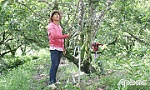 Tiền Giang: Nâng tầm thương hiệu Sa pô Mặc Bắc Kim Sơn