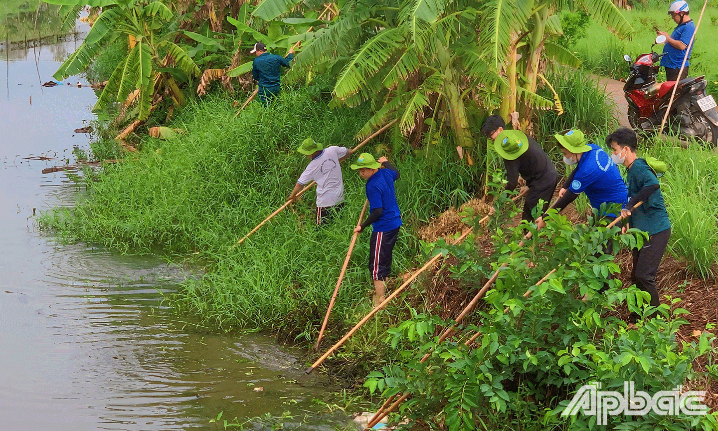 ĐVTN trường Đại học Tiền Giang vệ sinh, khơi thông dòng chảy  tuyến kênh nội đồng