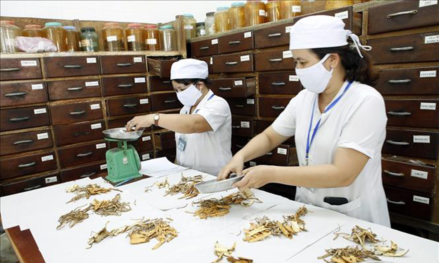 Bệnh viện Y học cổ truyền Bình Định chú trọng chất lượng thuốc đông y phục vụ khám chữa bệnh. Ảnh minh họa: Dương Ngọc/TTXVN
