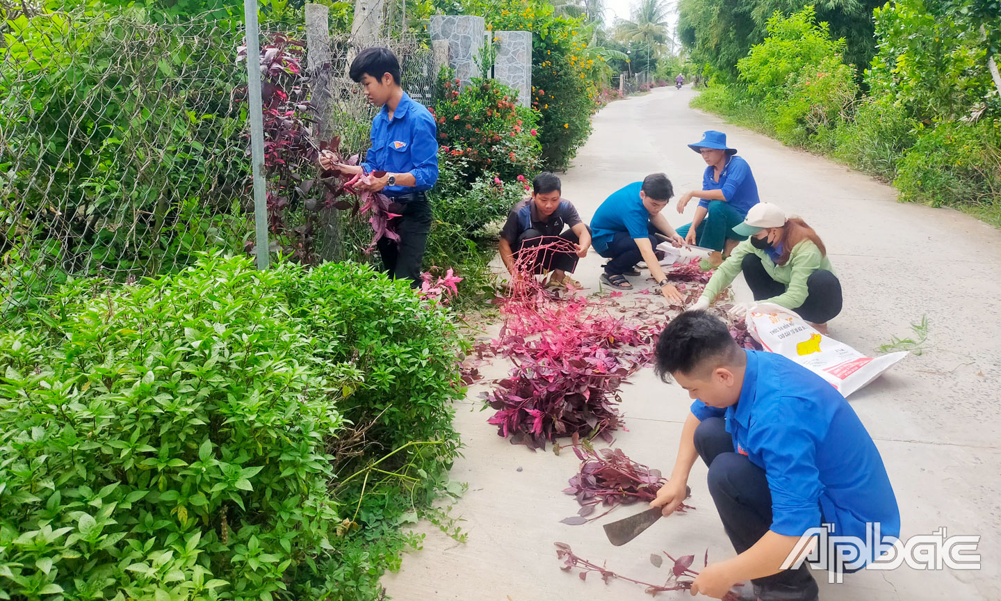 Đoàn Thanh niên phối hợp với Hội Liên hiệp Phụ nữ xã trồng cây tạo cảnh quan trên các tuyến đường. 