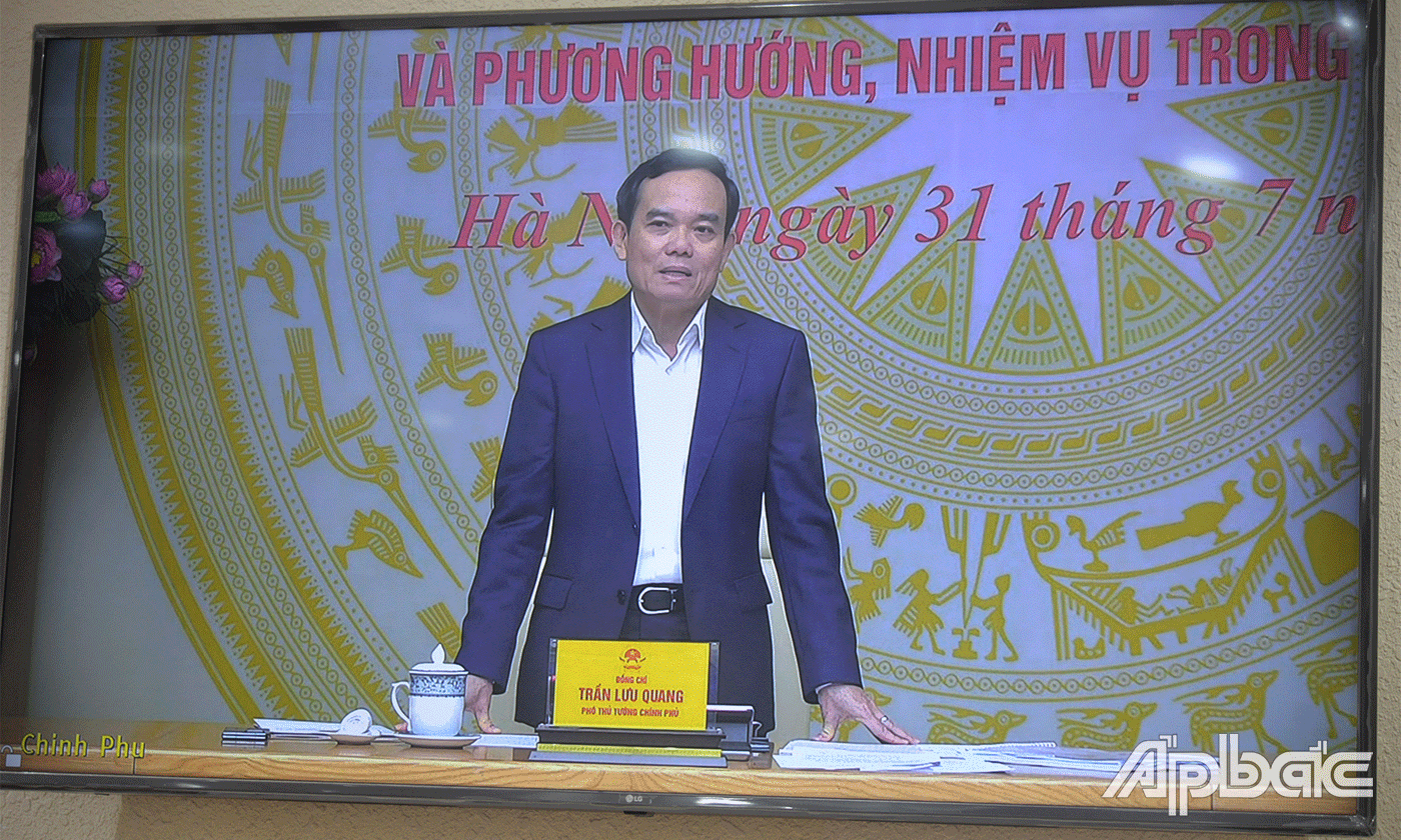 Phó Thủ tướng Chính phủ Trần Lưu Quang phát biểu.