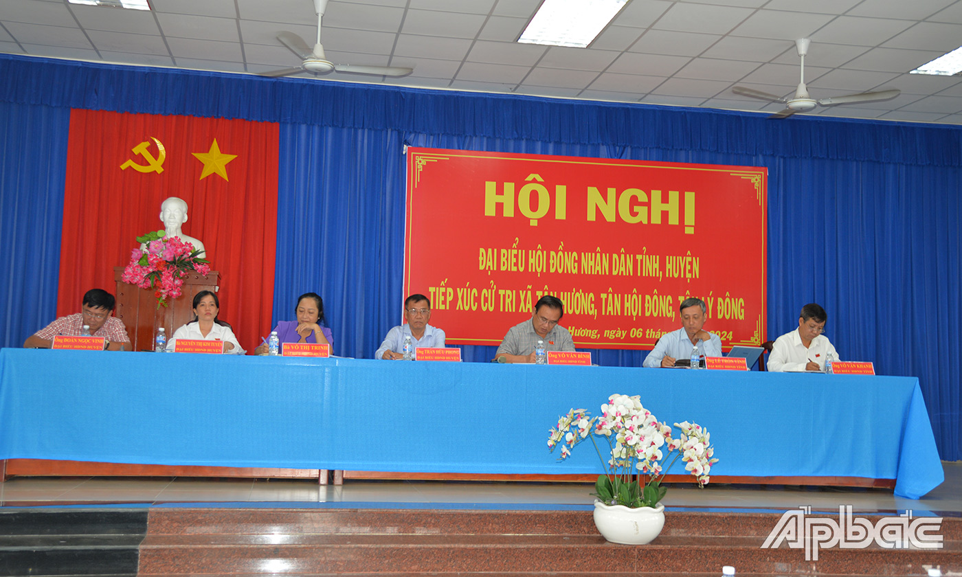Đại biểu HĐND tỉnh, huyện nghe ý kiến cử tri phát biểu