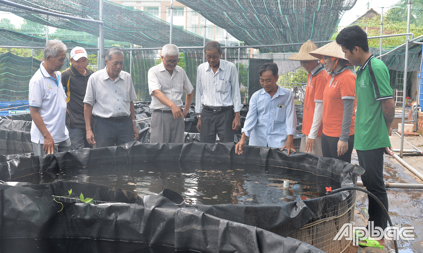 Tiền Giang ngày càng có nhiều người nuôi và kinh doanh cá cảnh.