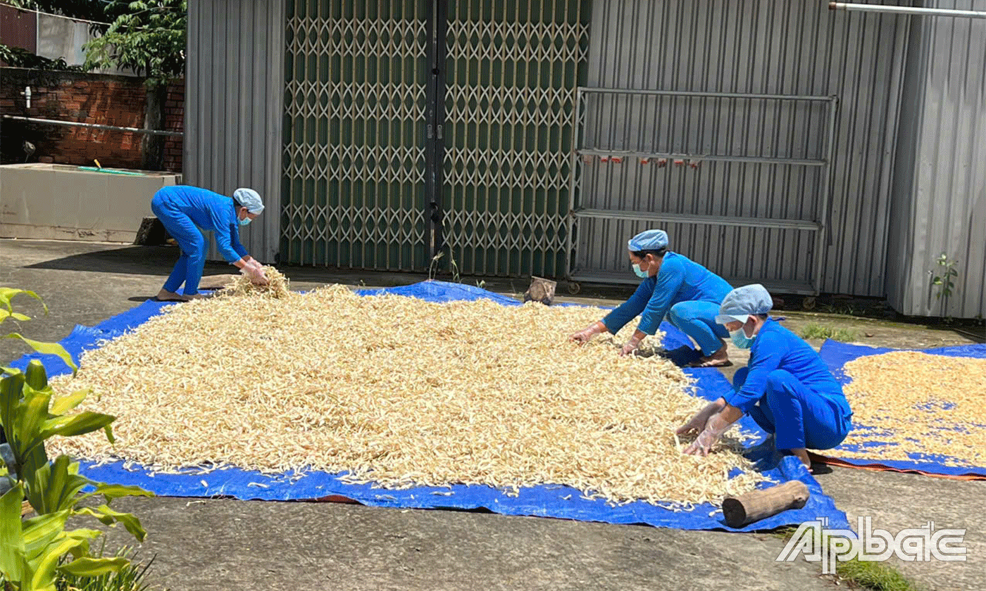 Quy trình sản xuất các sản phẩm từ bưởi.