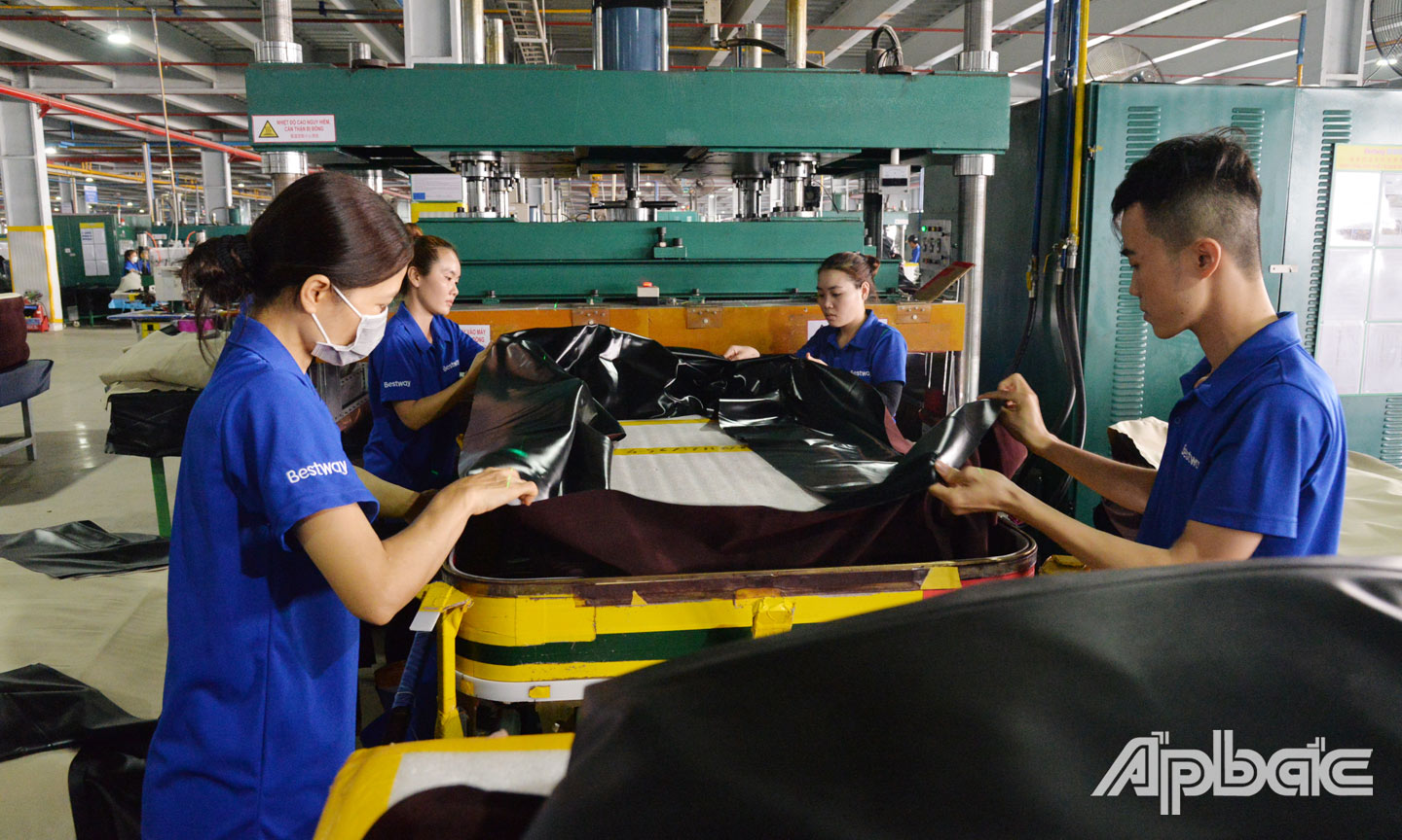 Huyện Tân Phước có 393 DN đang hoạt động, thu hút khoảng 24.300 lao động.  	                                                                                                                     Ảnh: Văn Thảo