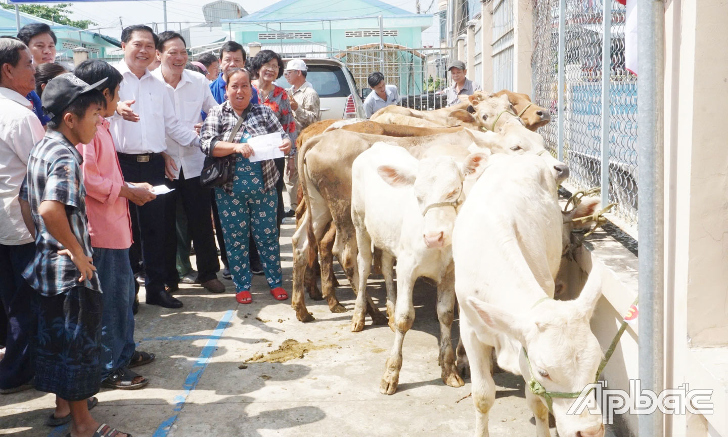 Người khuyết tật, người yếu thế có hoàn cảnh khó khăn được trao tặng bò. 