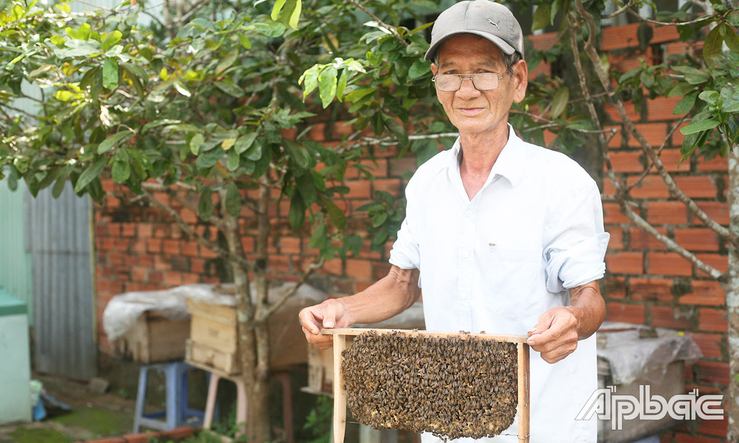 Chú Nguyễn Thanh Em bên đàn ong mật của gia đình.