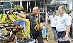 Khởi nghiệp từ mô hình trồng hoa phong lan